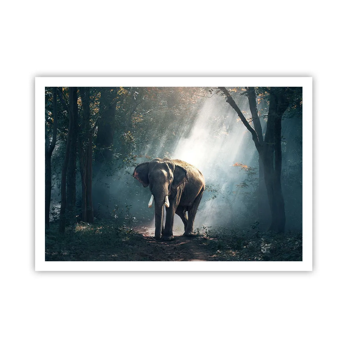 Poster - Elefant im Waldlicht - 100x70cm - Ein gemütlicher Spaziergang - Moderne Wanddekoration für Wohnzimmer und Schlafzimmer ARTTOR