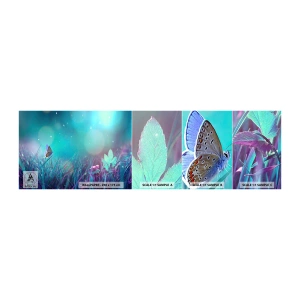 Fototapetenmuster Standard Eco - Das geheime Leben der Wiese - Schmetterling, Wiese, Stück - 100x30 cm