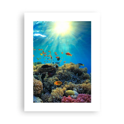 Poster - Unterwasserschätze - 30x40 cm