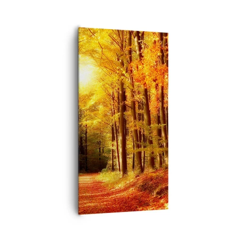 Bild auf Leinwand - Leinwandbild - Goldener Herbst auf einer Forststraße - 65x120 cm