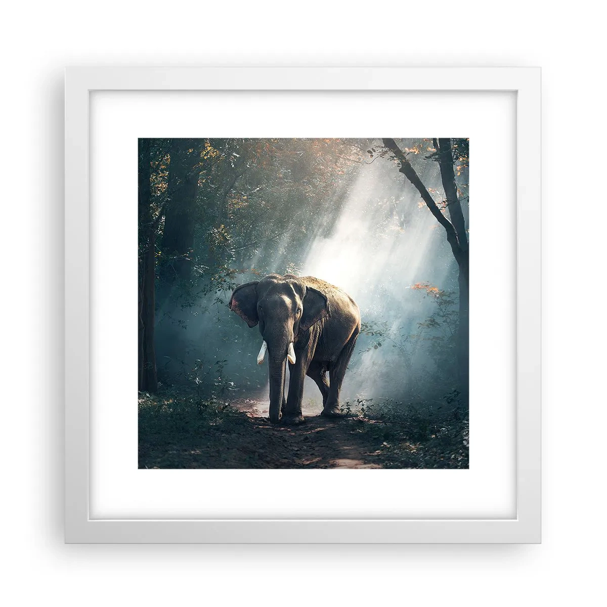 Poster in einem weißen Rahmen - Ein gemütlicher Spaziergang - 30x30 cm