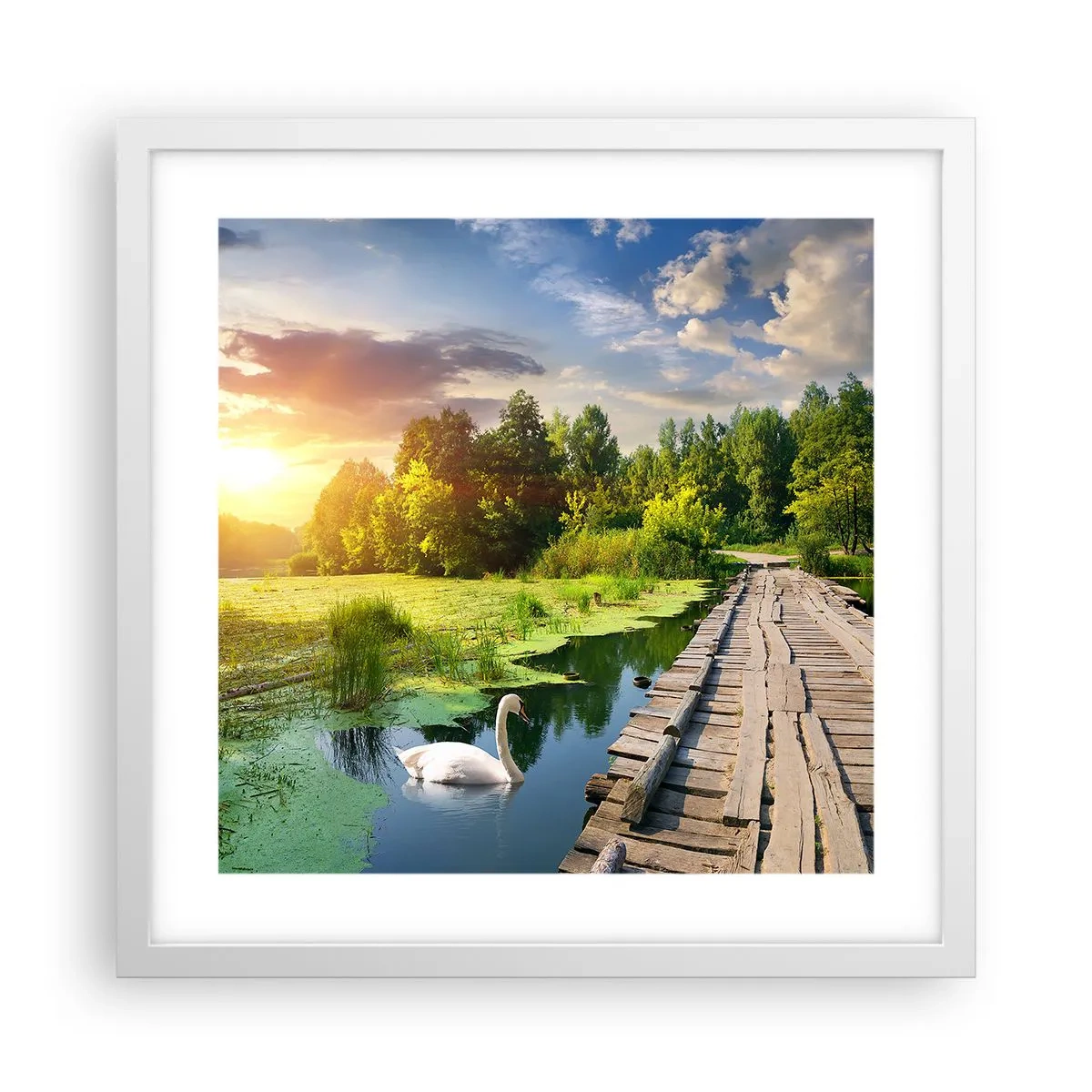 Poster in einem weißen Rahmen - Sommer, Sommer überall - 40x40 cm