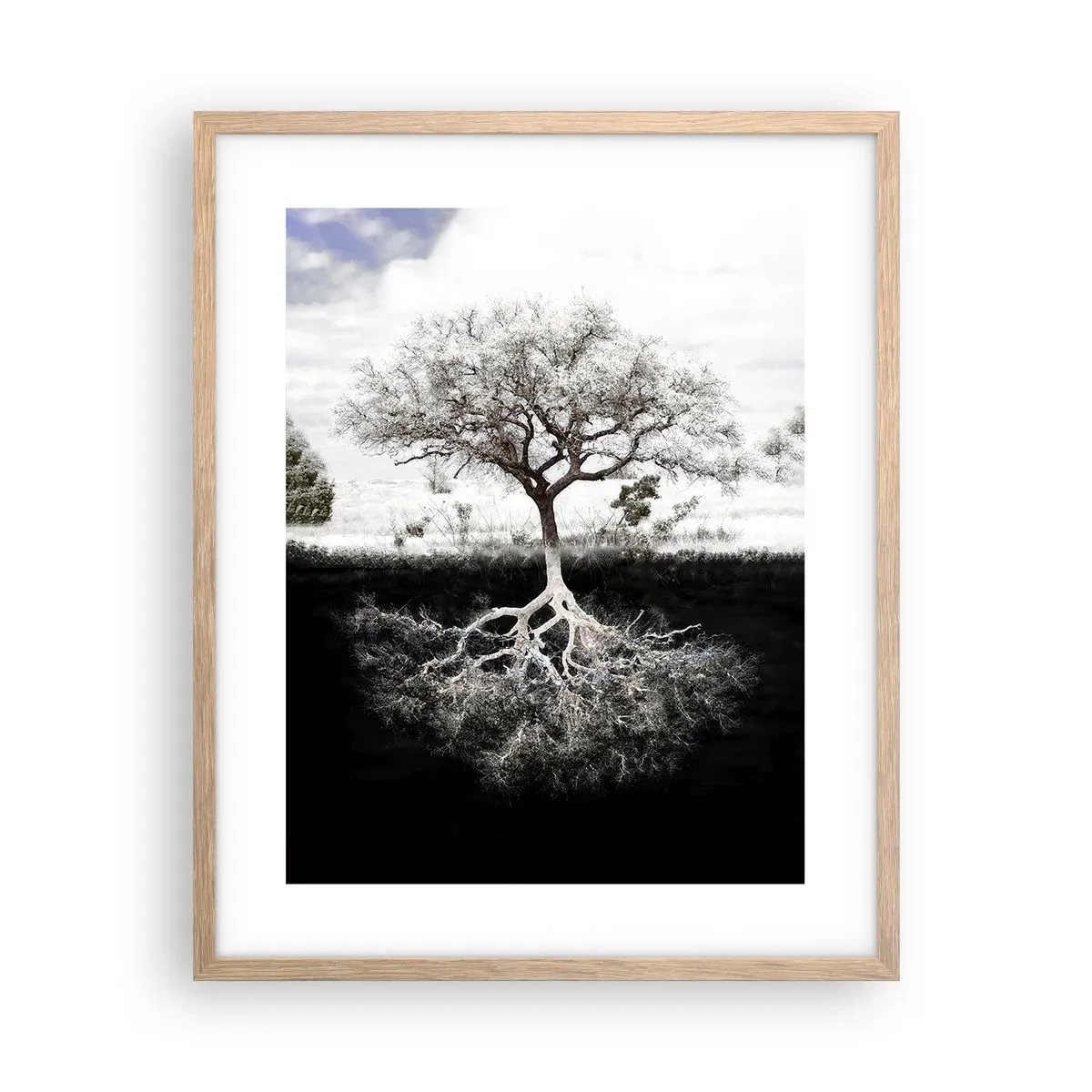 Poster in einem Rahmen aus heller Eiche - Die Natur der Welt entdecken - 40x50 cm