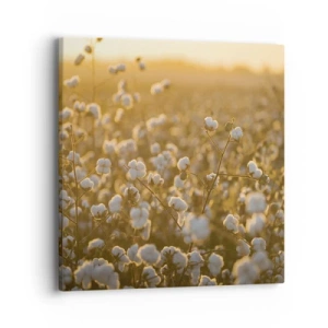 Bild auf Leinwand - Leinwandbild - Fluffiges Feld - 40x40 cm