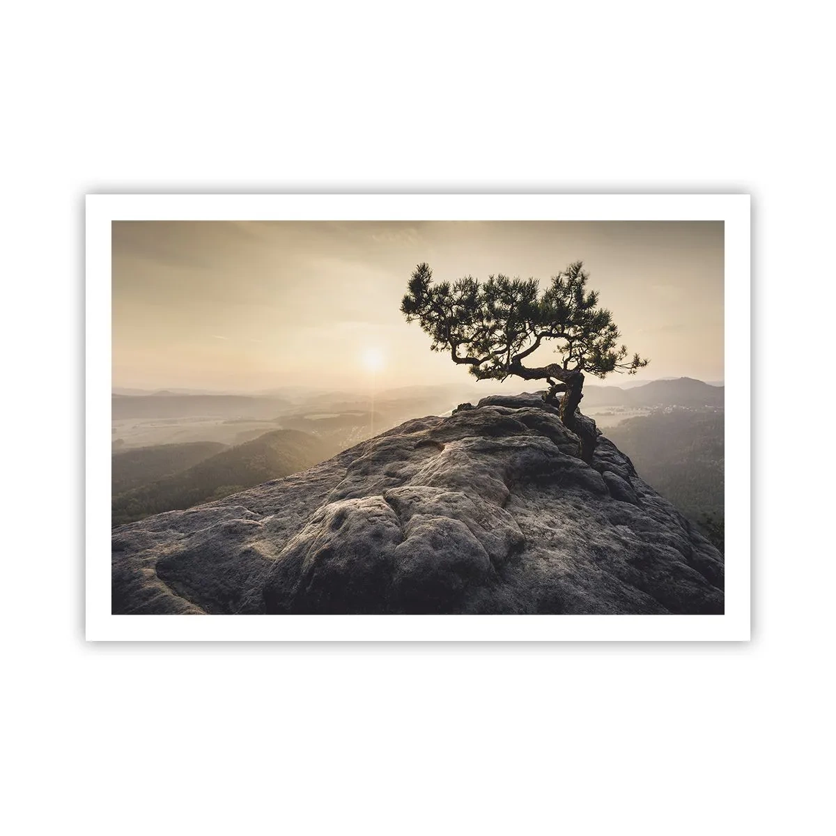 Poster - Das Leben gewinnt immer - 91x61 cm