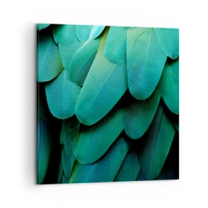 Bild auf Leinwand - Leinwandbild - Papageienartige Präzision - 50x50 cm