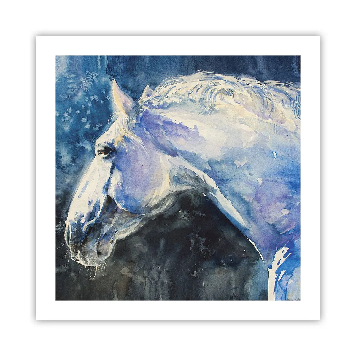 Poster - Porträt in blauem Glanz - 50x50 cm