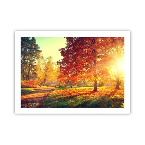 Poster - Unhöflich ist schön - 70x50 cm