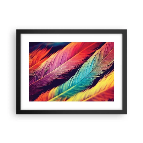 Poster in einem schwarzem Rahmen - Gefiederter Regenbogen - 40x30 cm