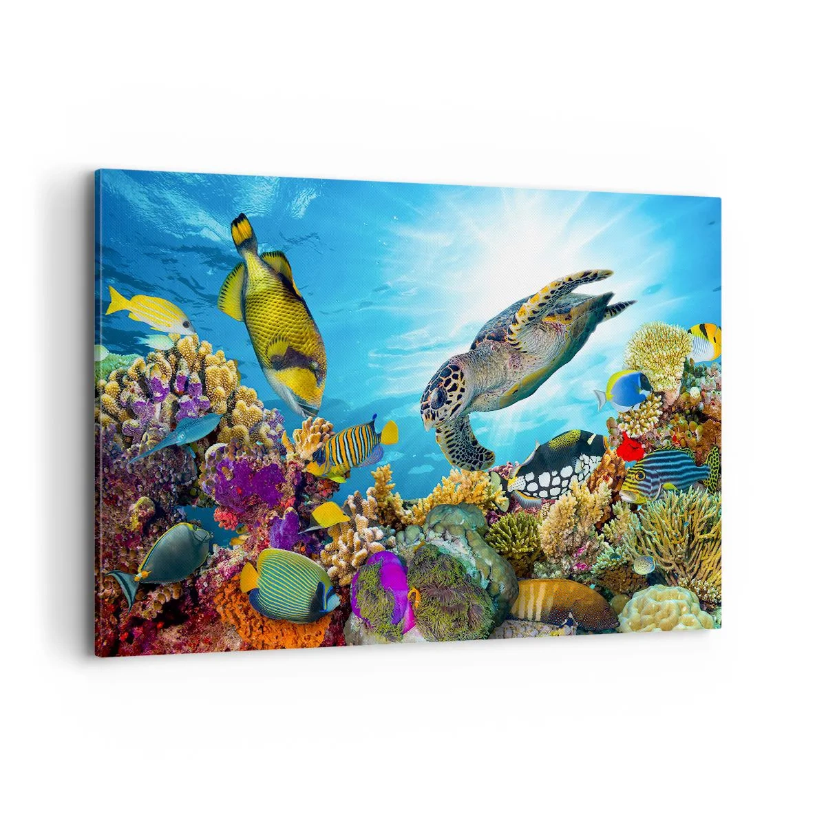 Bild auf Leinwand - Leinwandbild - Unterwasserwelt mit bunten Fischen und einer Schildkröte in den Korallen - 120x80cm - Korallenpromenade - Moderne Wanddekoration für Wohnzimmer und Schlafzimmer ARTTOR