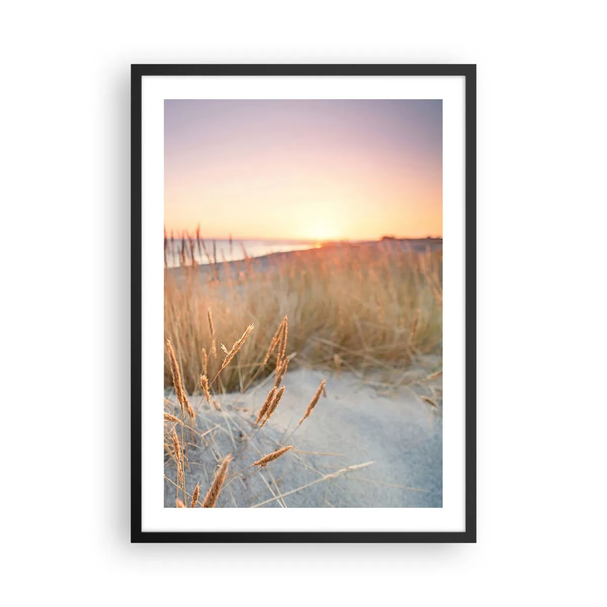 Poster in einem schwarzem Rahmen - Die Gräser auf den Dünen, beleuchtet von der untergehenden Sonne - 50x70cm - Das baltische Wiegenlied - Moderne Wanddekoration für Wohnzimmer und Schlafzimmer ARTTOR