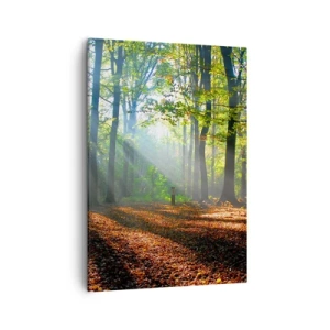 Bild auf Leinwand - Leinwandbild - Eine Waldlichtung, die von den Sonnenstrahlen erleuchtet wird - 50x70cm - Licht und Schatten - Moderne Wanddekoration für Wohnzimmer und Schlafzimmer ARTTOR