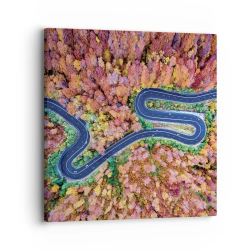 Bild auf Leinwand - Leinwandbild - Kurvenreicher Weg durch den Wald - 30x30 cm