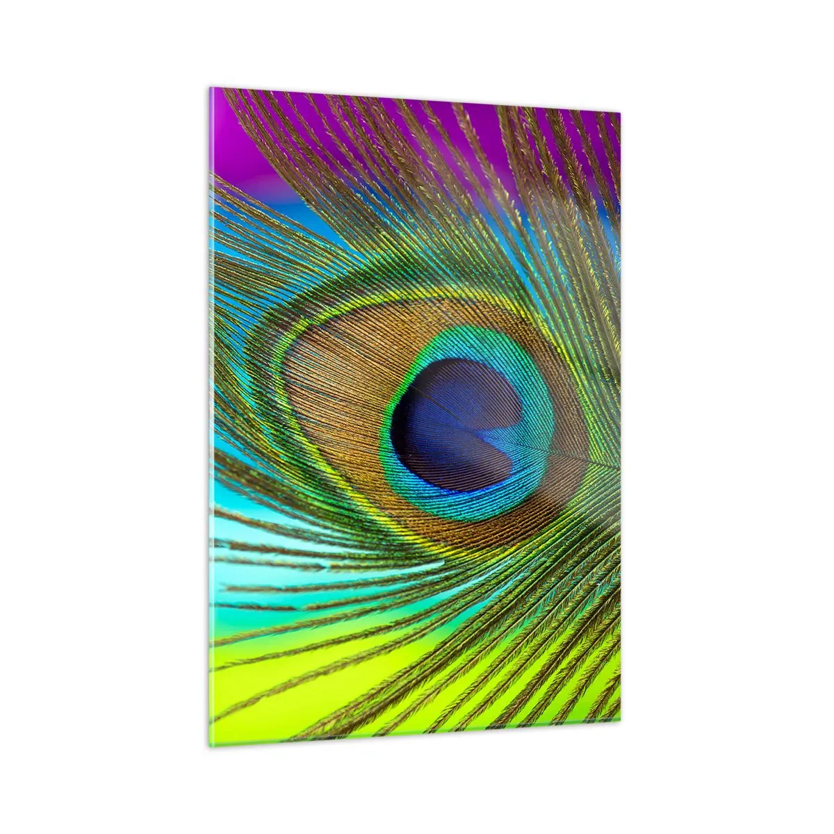 Glasbild - Bild auf glas - Eine Nahaufnahme einer bunten Pfauenfeder - 50x70cm - Auge in Auge - Moderne Wanddekoration für Wohnzimmer und Schlafzimmer ARTTOR
