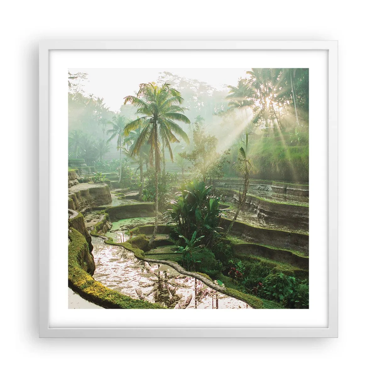 Poster in einem weißen Rahmen - In der Sonne aufwachsen - 50x50 cm