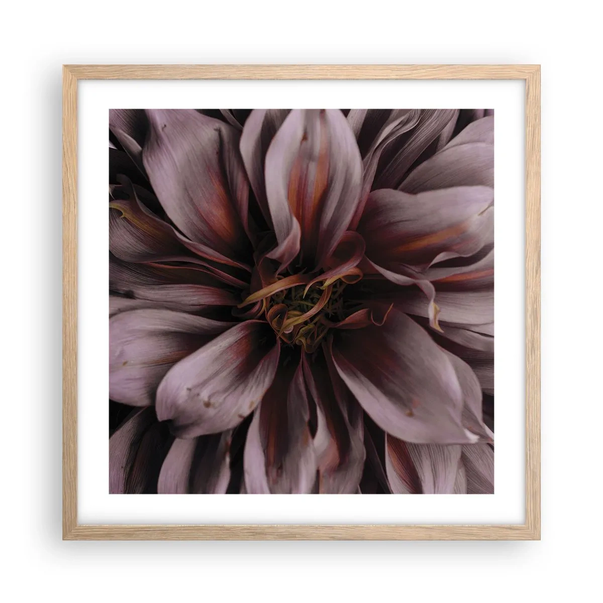 Poster in einem Rahmen aus heller Eiche - Ein Blumenherz - 50x50 cm