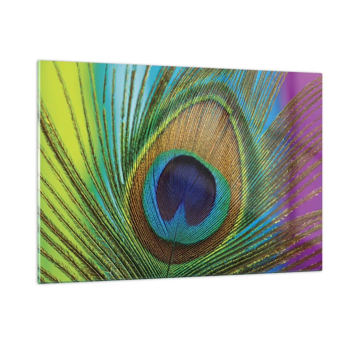 Glasbild - Bild auf glas - Eine Nahaufnahme einer bunten Pfauenfeder - 120x80cm - Auge in Auge - Moderne Wanddekoration für Wohnzimmer und Schlafzimmer ARTTOR