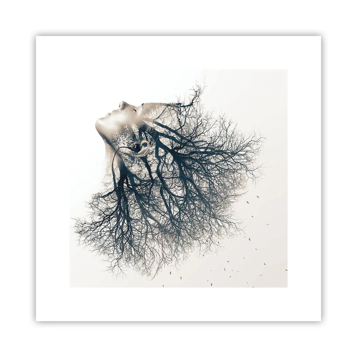 Poster - Dem Rauschen der Bäume lauschen - 30x30 cm
