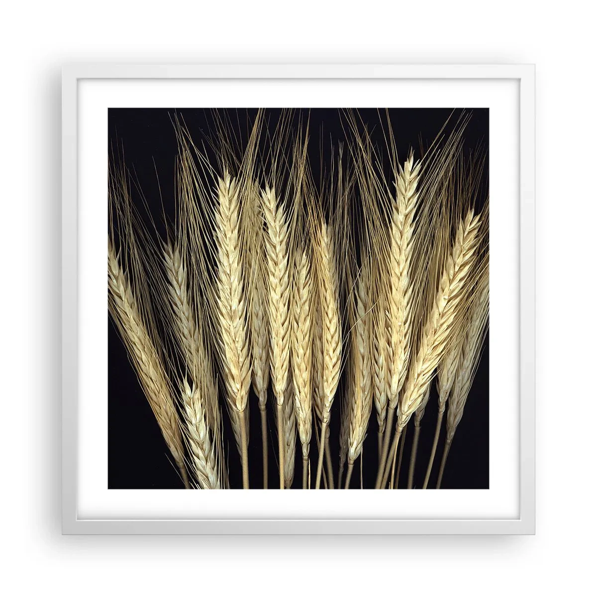 Poster in einem weißen Rahmen - Rustikale Magie - 50x50 cm