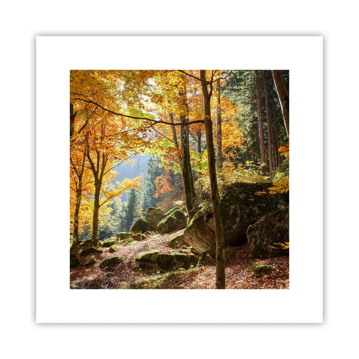 Poster - Zeit zum Entspannen - 30x30 cm