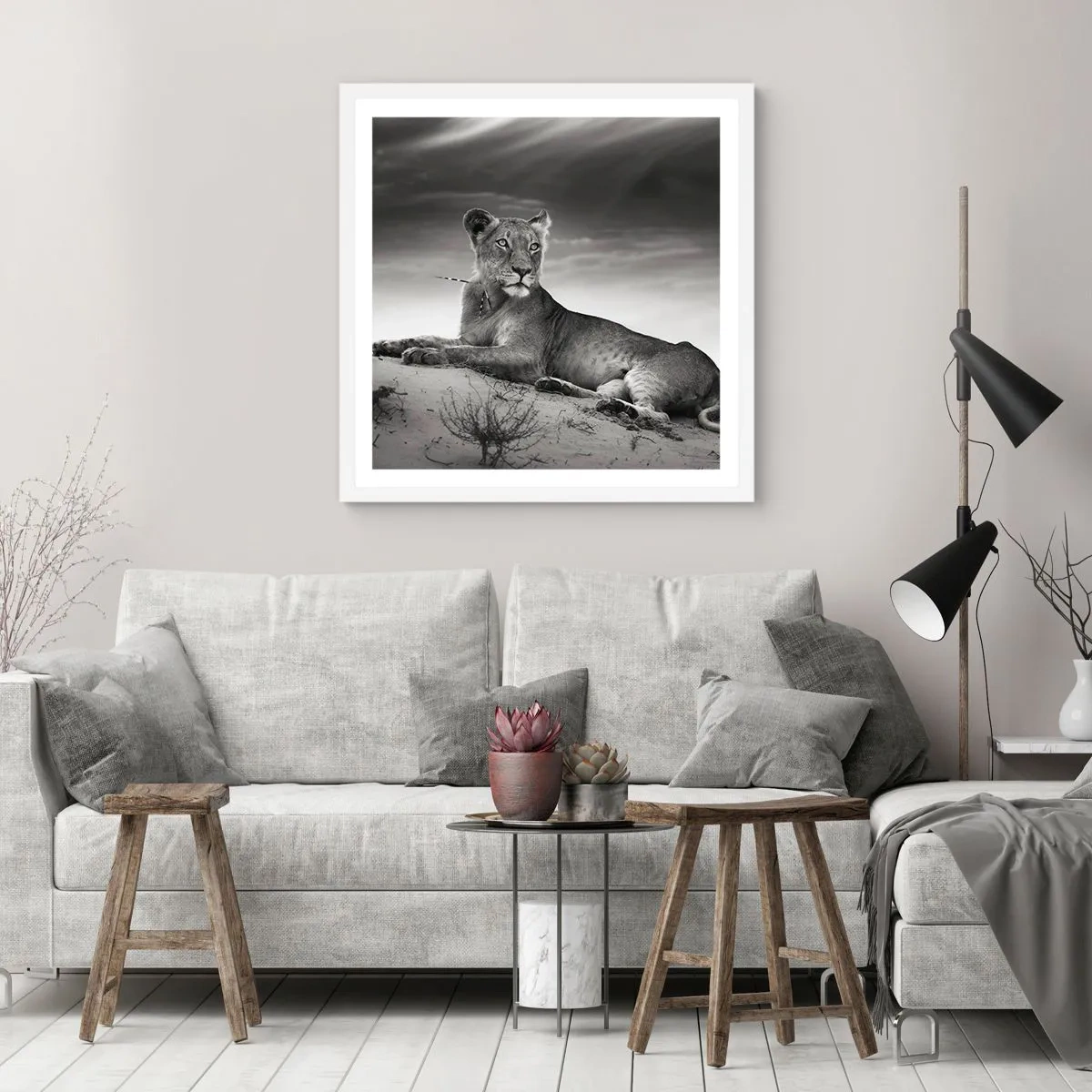 Poster in einem weißen Rahmen - Die Königin der Wüstenruhe - 40x40 cm