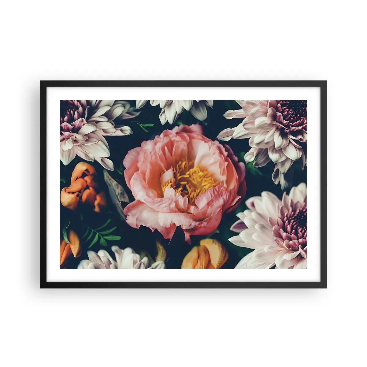 Poster in einem schwarzem Rahmen - Blumenarrangement mit Pfingstrosen und Chrysanthemen auf dunklem Hintergrund - 70x50cm - Mit barocker Pracht - Moderne Wanddekoration für Wohnzimmer und Schlafzimmer ARTTOR
