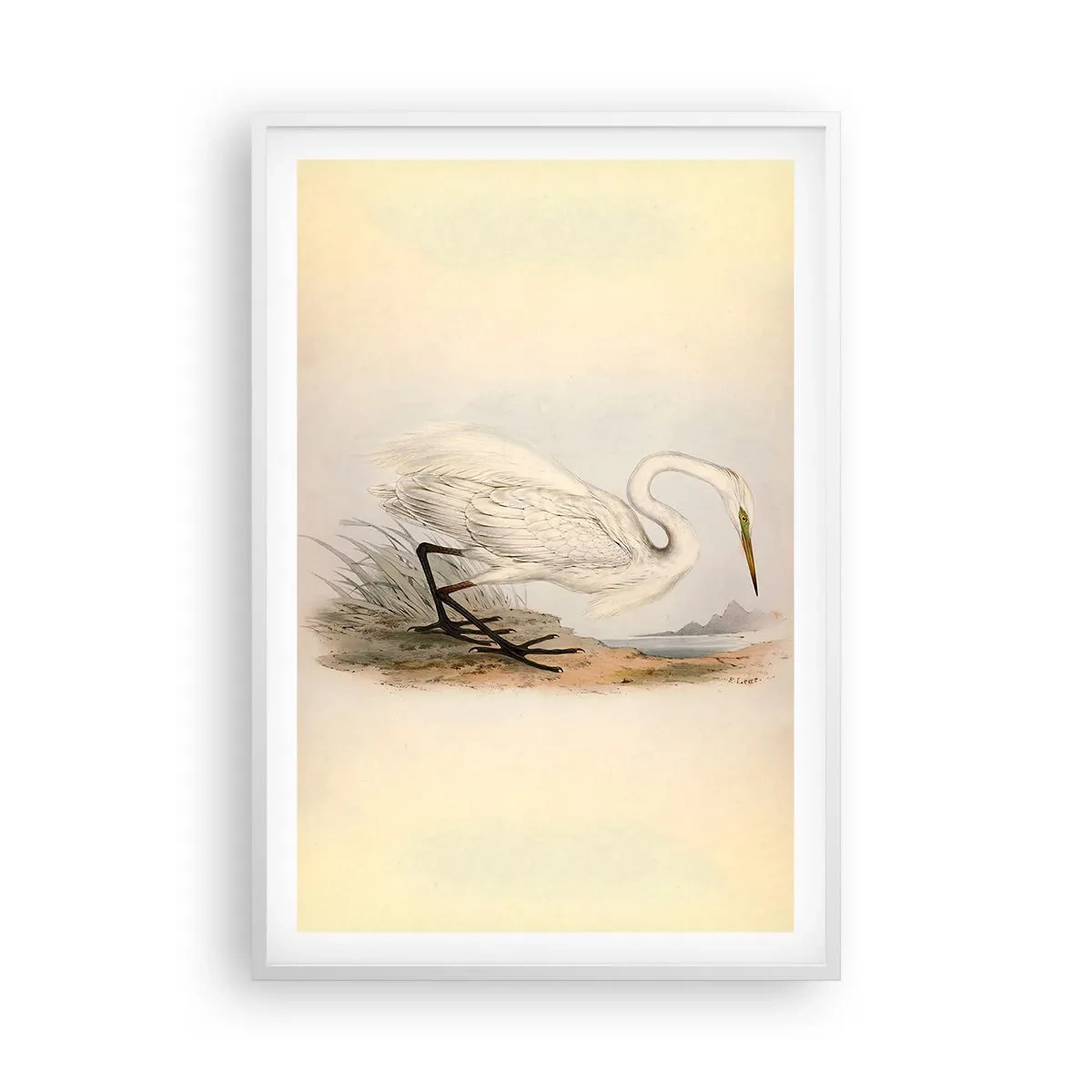 Poster in einem weißen Rahmen - Dame auf den Binsen - 61x91 cm