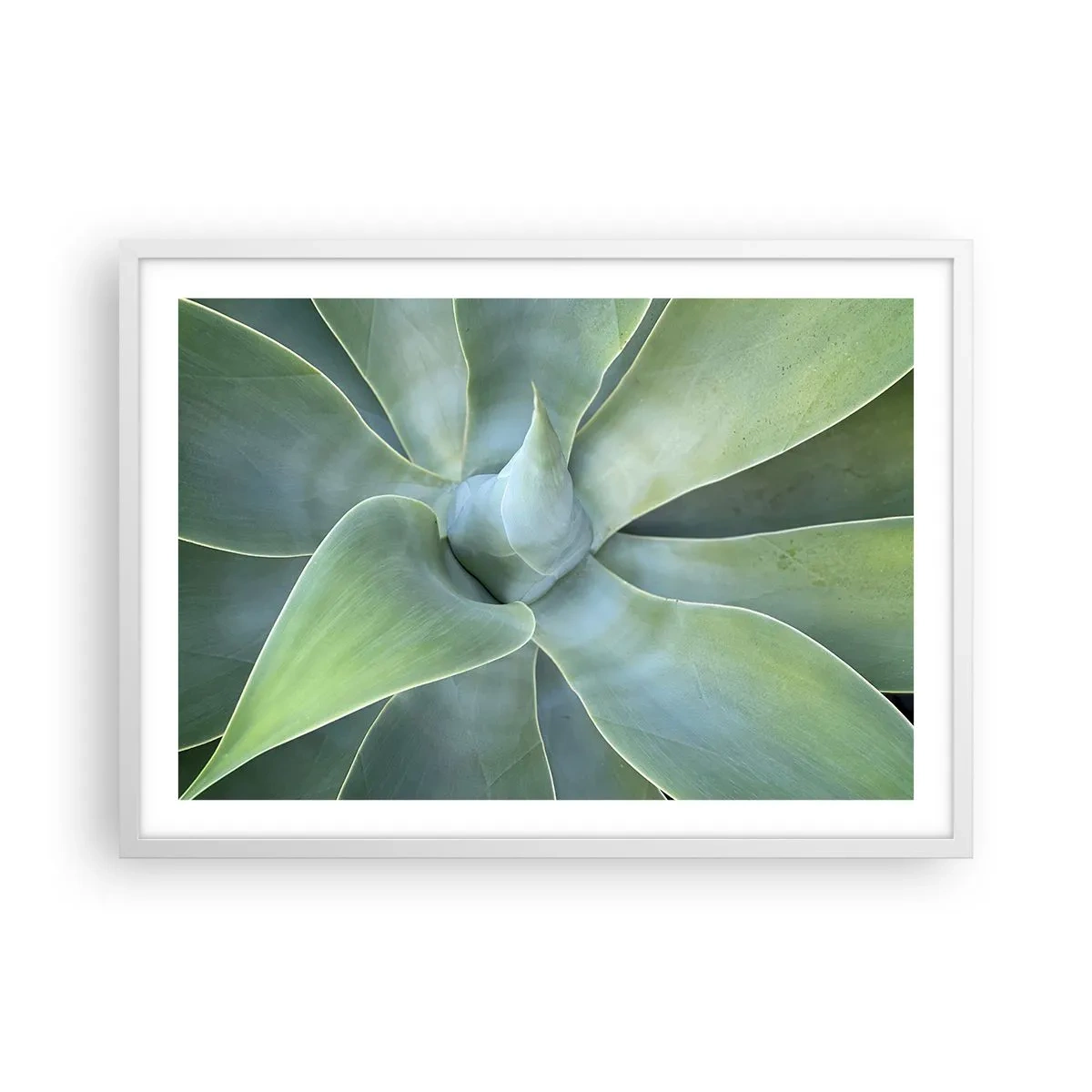 Poster in einem weißen Rahmen - Geburt des Grüns - 70x50 cm