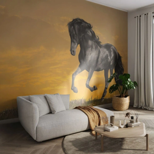 Selbstklebende Fototapete Deluxe Sticker - Schön, frei und wild - Tiere, Pferd, Landschaft - 100x70 cm