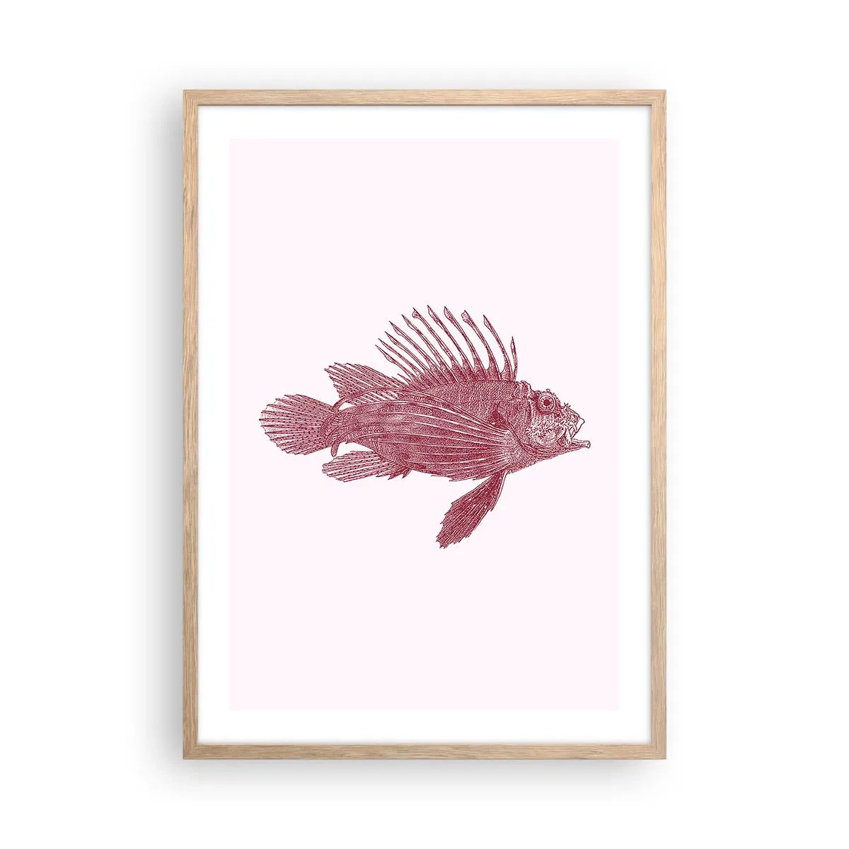 Poster in einem Rahmen aus heller Eiche - Bewohner exotischer Gewässer - 50x70 cm
