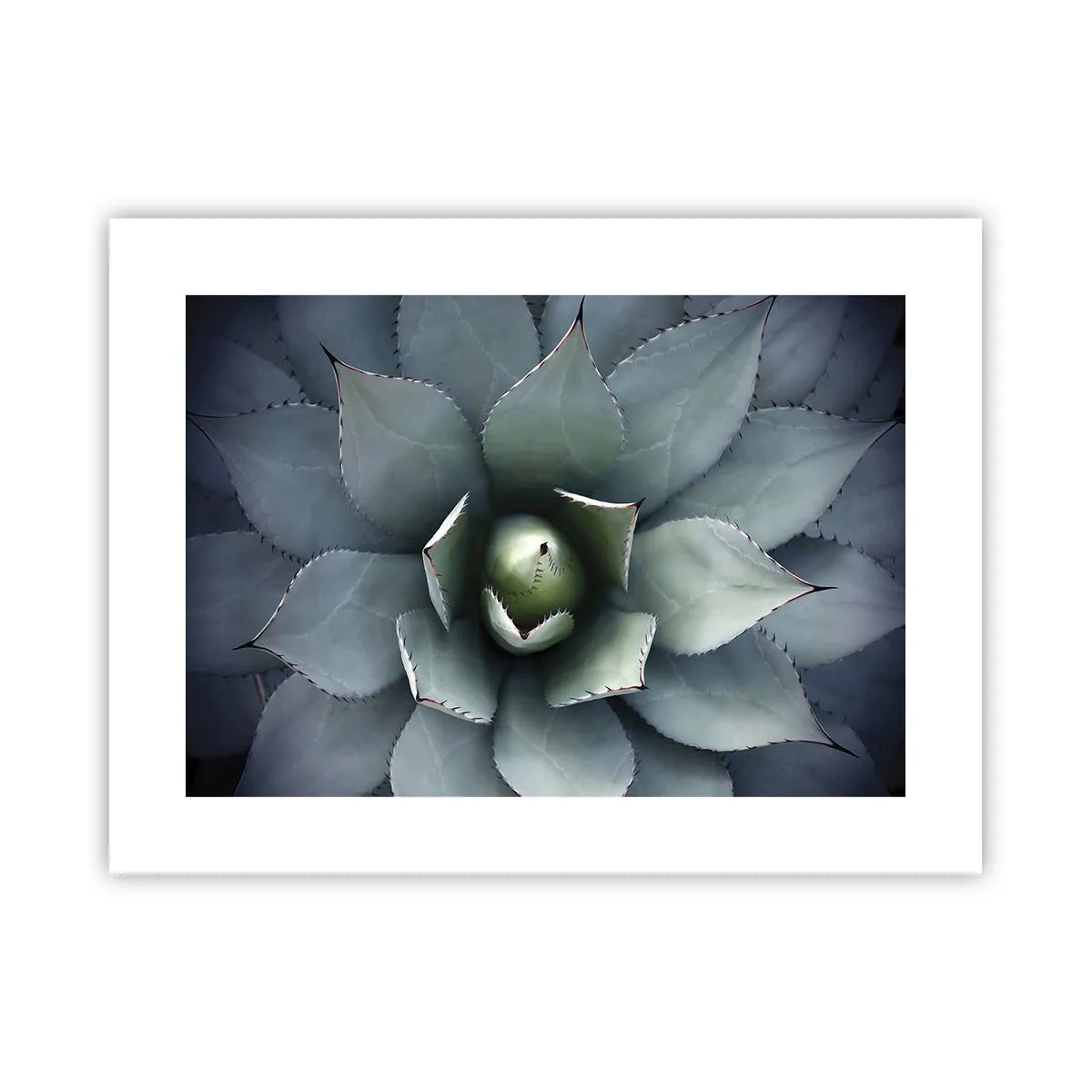 Poster - Es lockt an und warnt - 40x30 cm