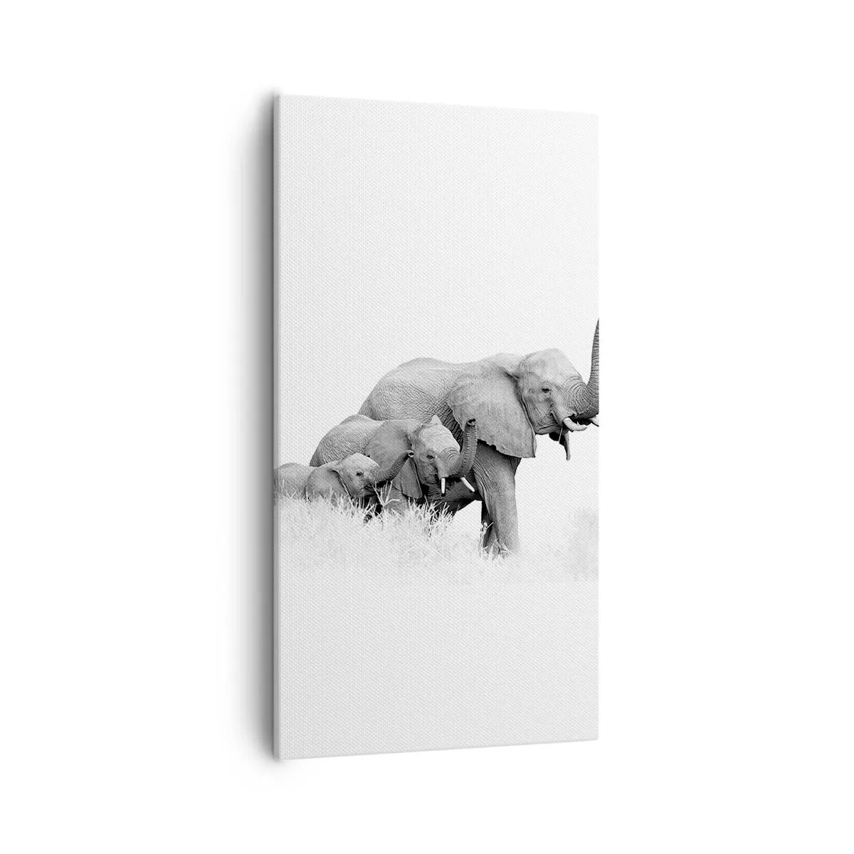 Bild auf Leinwand - Leinwandbild - Eins zwei drei - 55x100 cm