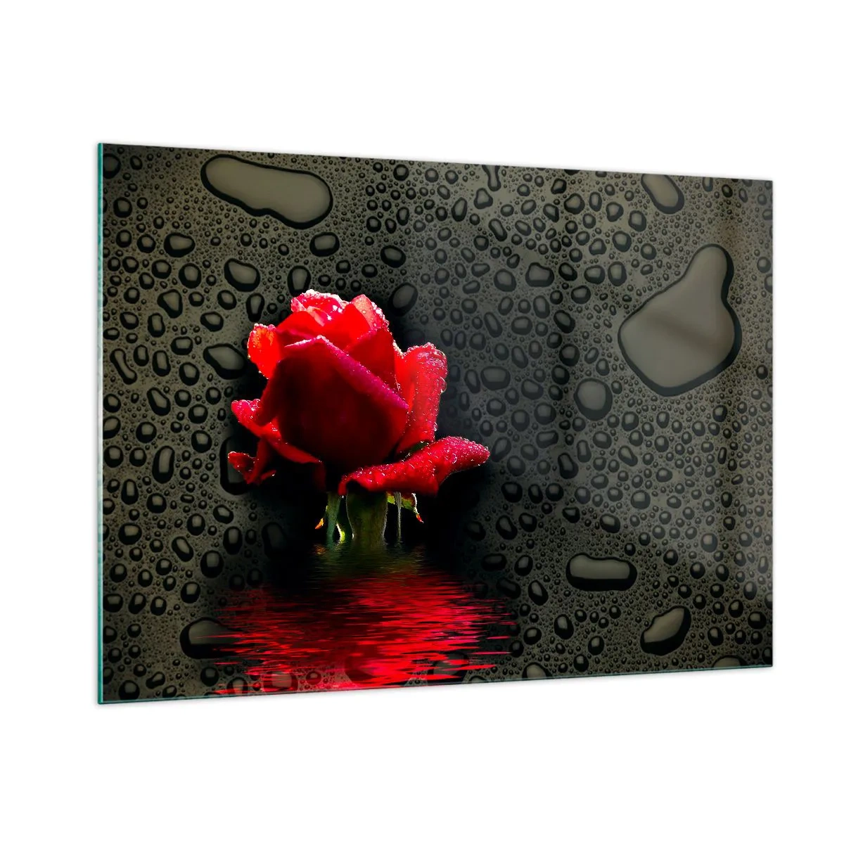 Glasbild - Bild auf glas - Rote Rose mit Wassertropfen auf dunklem Hintergrund - 100x70cm - rot und Schwarz - Moderne Wanddekoration für Wohnzimmer und Schlafzimmer ARTTOR
