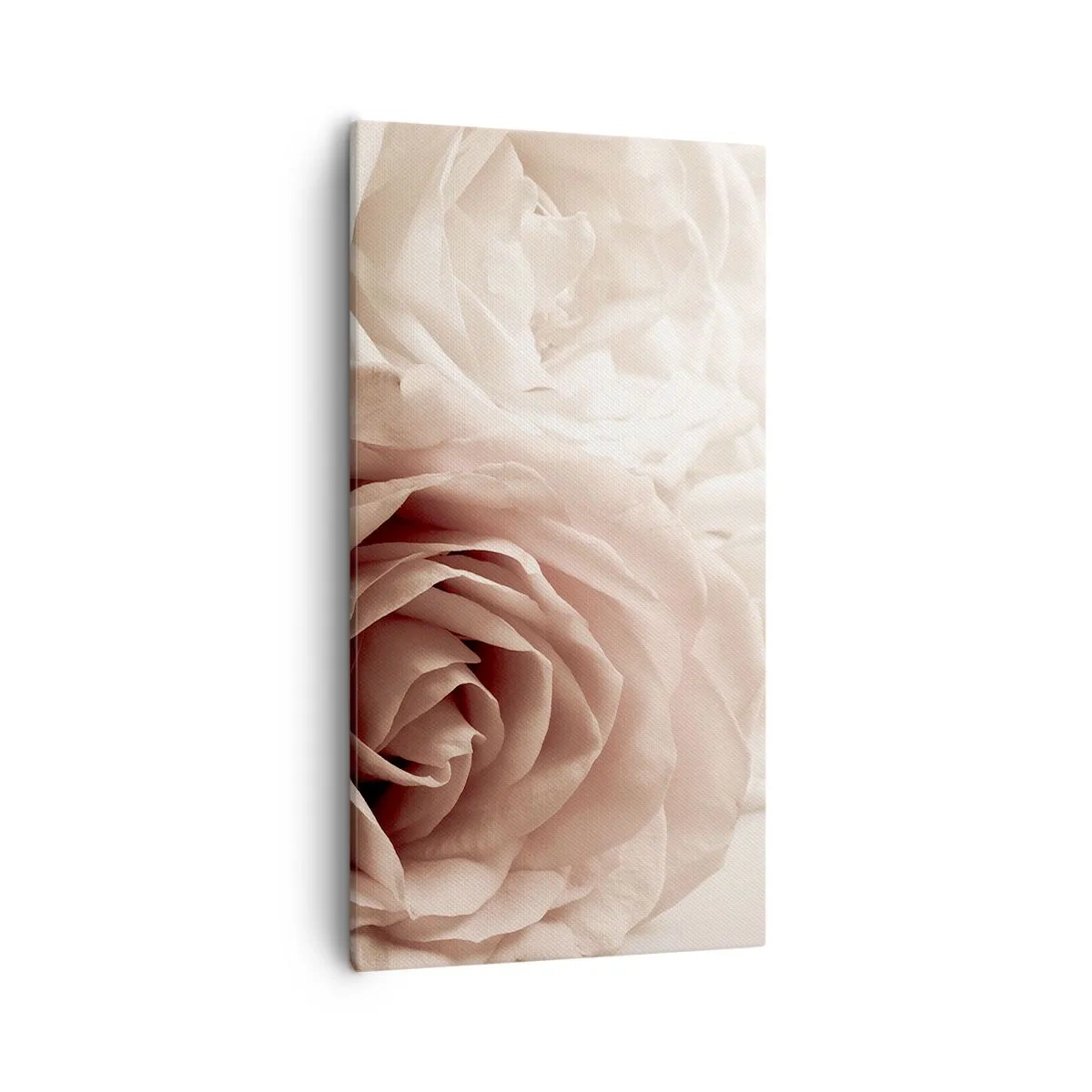 Bild auf Leinwand - Leinwandbild - Im Herzen der Rose - 55x100 cm