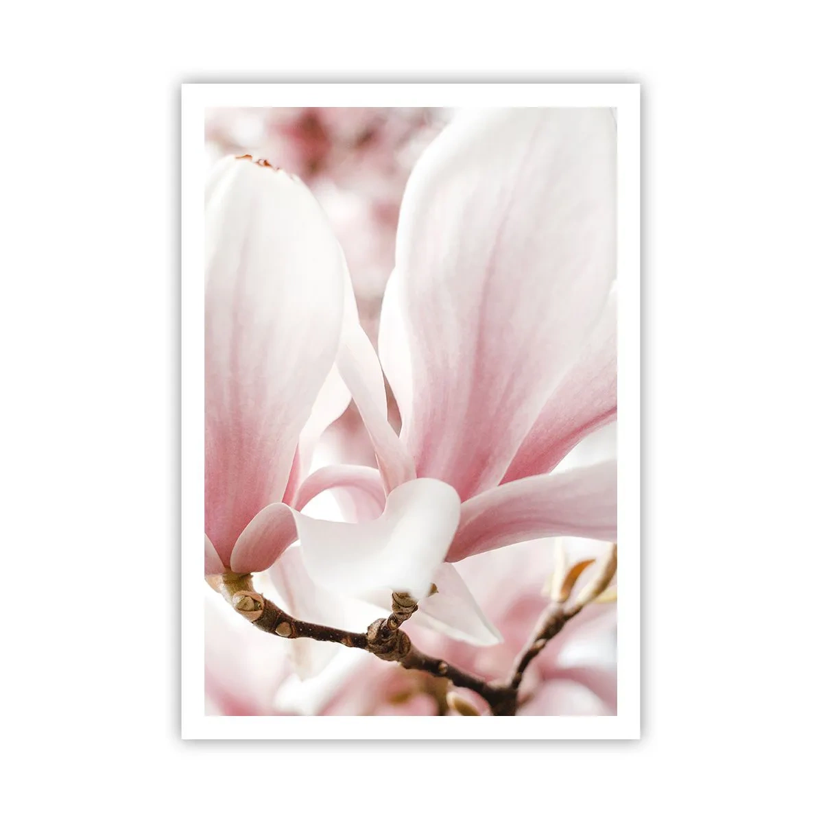 Poster - Eine Fülle von Zärtlichkeit - 70x100 cm