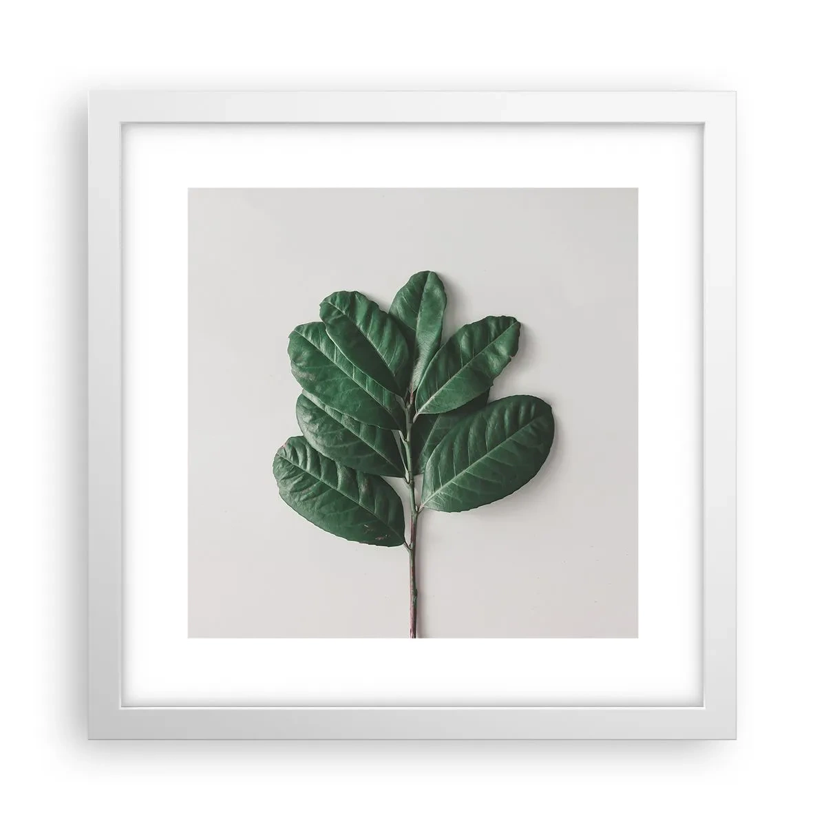 Poster in einem weißen Rahmen - Eine Zeichnung purer Natur - 30x30 cm