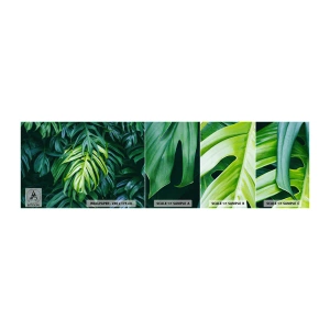 Fototapeten Muster Selbstklebend Deluxe Sticker - Tauchen Sie ein in die Frische - Tropische Pflanze, Monstera-Blatt, Natur - 100x30 cm