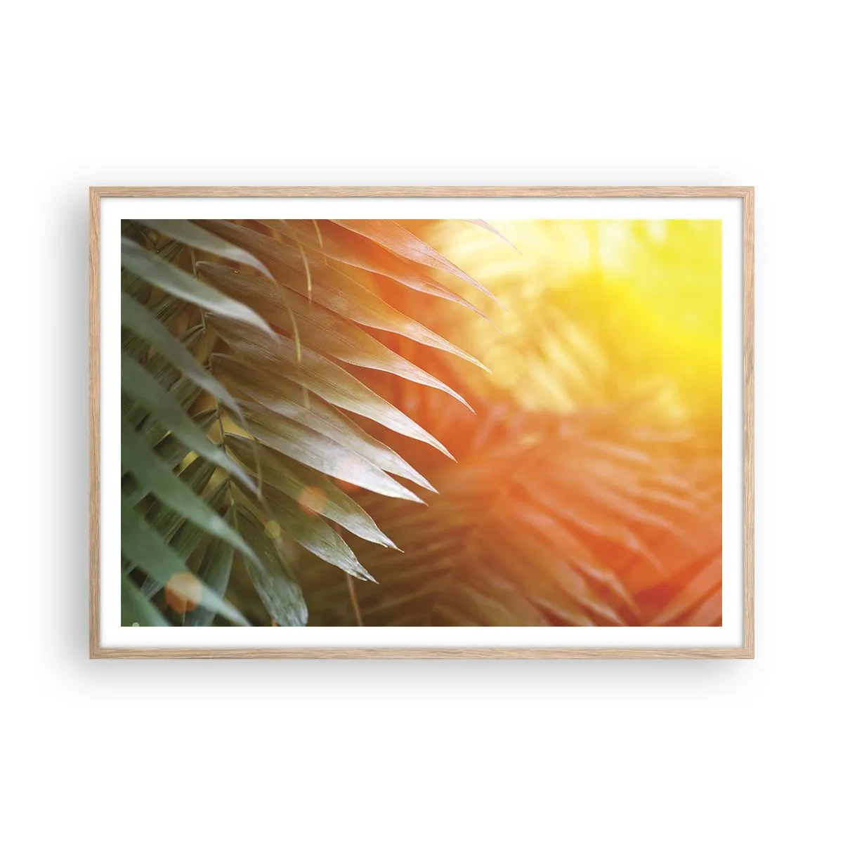 Poster in einem Rahmen aus heller Eiche - Morgen im Dschungel - 100x70 cm