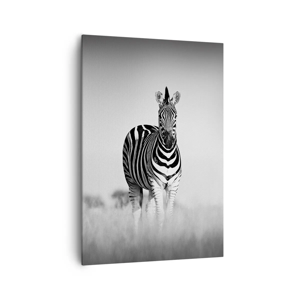 Bild auf Leinwand - Leinwandbild - Zwei Zebras in der Savanne im monochromen Stil - 70x100cm - Die Welt ist doch schwarz-weiß - Moderne Wanddekoration für Wohnzimmer und Schlafzimmer ARTTOR