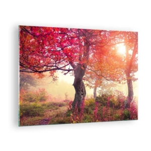 Glasbild - Bild auf glas - Herbstwald mit Sonnenstrahlen am Morgen - 70x50cm - Blühende Raserei - Moderne Wanddekoration für Wohnzimmer und Schlafzimmer ARTTOR