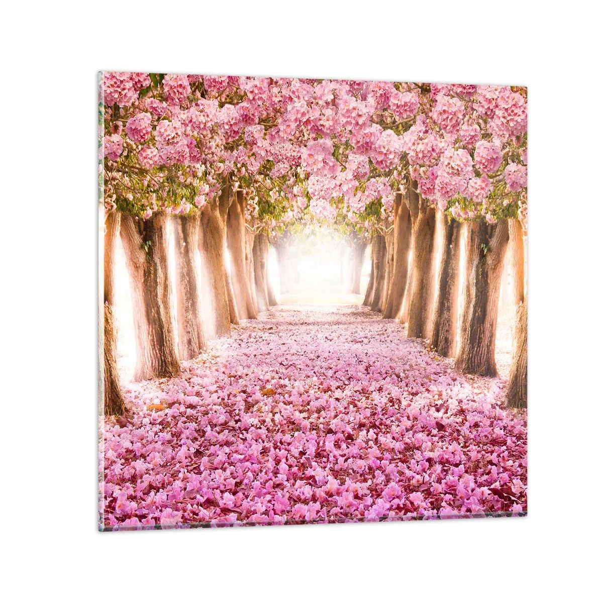 Glasbild - Bild auf glas - Der Weg ins Paradies - 40x40 cm