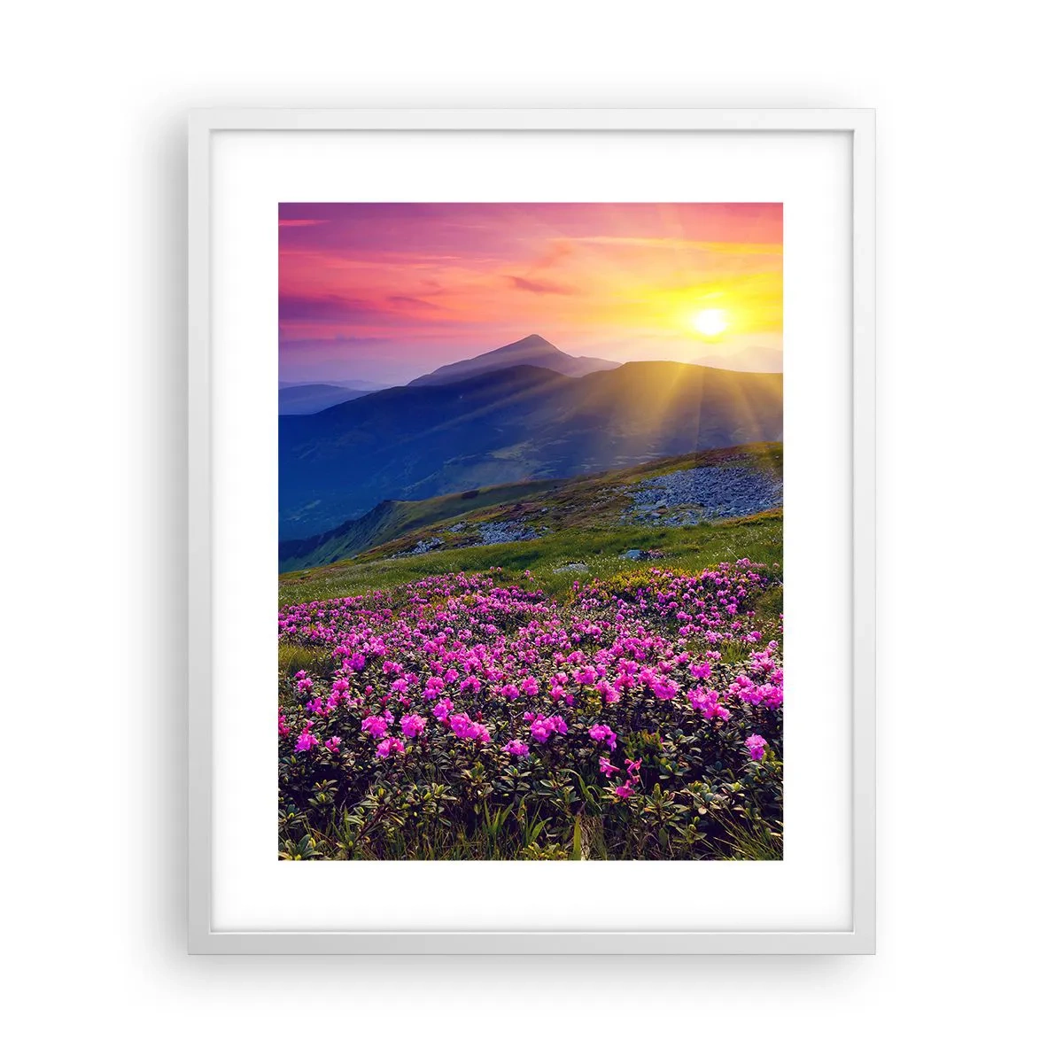 Poster in einem weißen Rahmen - … Und drumherum duftet es nach Latschenkiefer und dem Duft von Kräutern - 40x50 cm