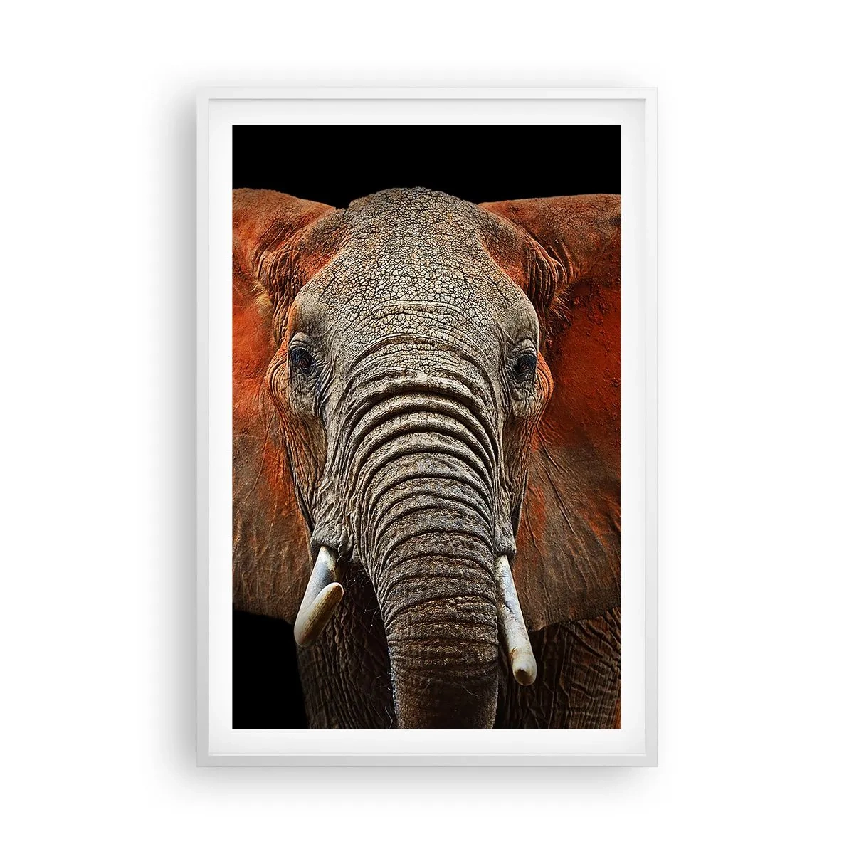 Poster in einem weißen Rahmen - Ich bin wild und du? - 61x91 cm