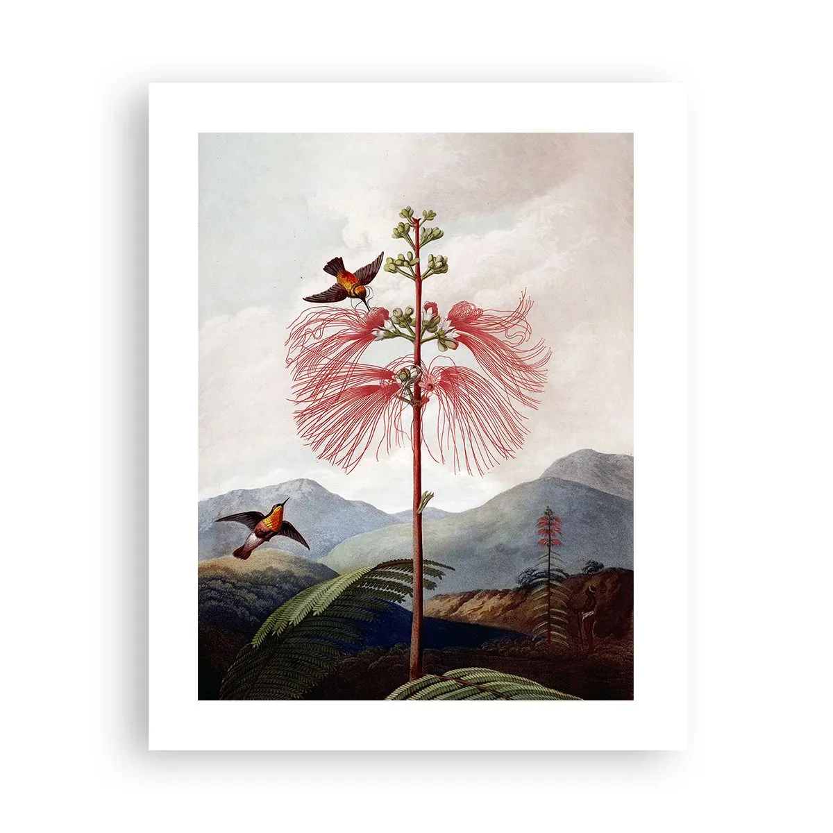 Poster - In einem tropischen Paradies - 40x50 cm