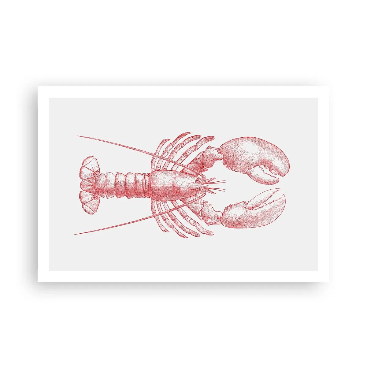Poster - Hummer, der Homers würdig ist - 91x61 cm