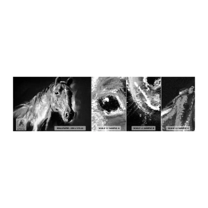 Fototapeten Muster Selbstklebend Deluxe Sticker - Das Leuchten einer edlen Seele - Tiere, Pferd, Stute - 100x30 cm