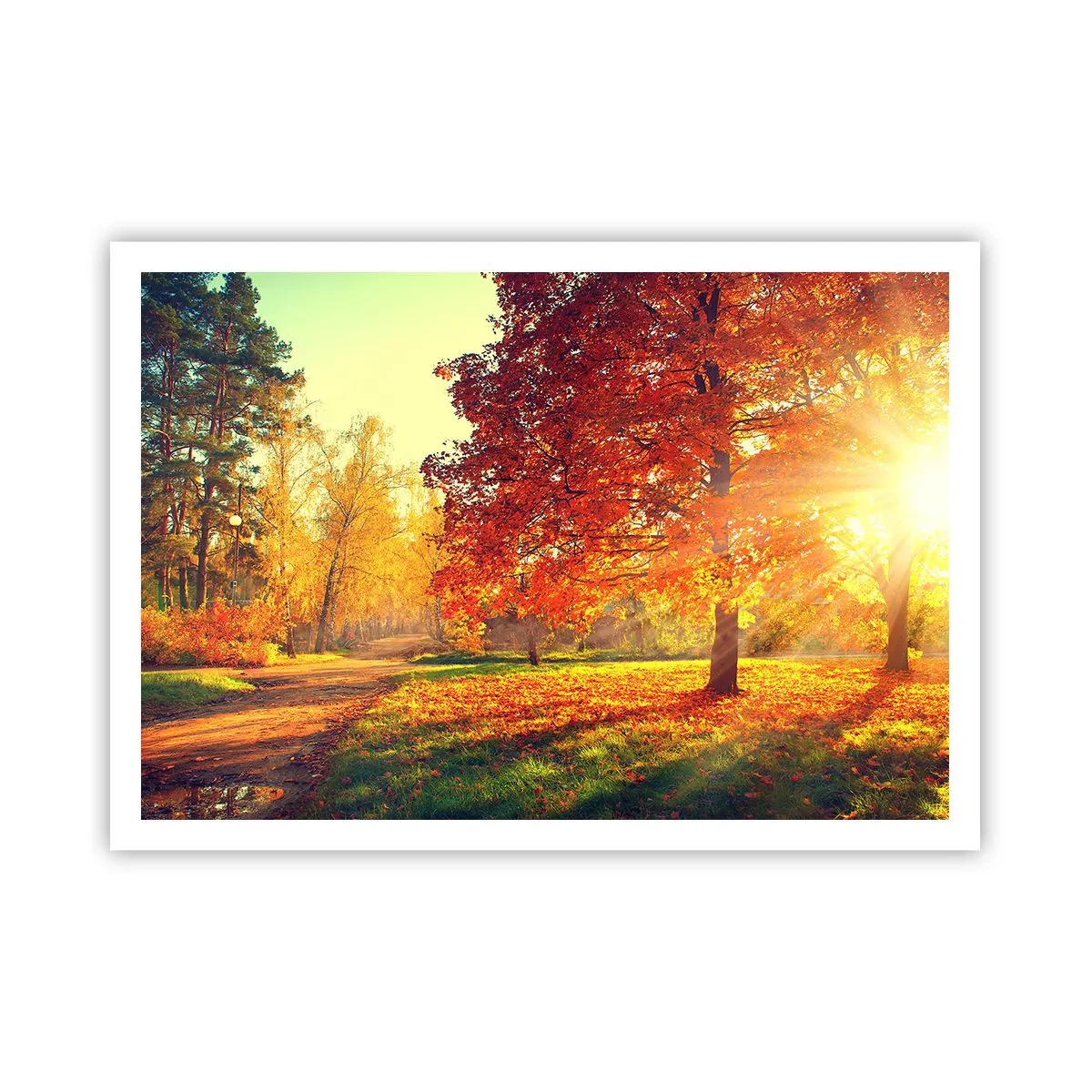 Poster - Herbstpark im Sonnenlicht - 100x70cm - Unhöflich ist schön - Moderne Wanddekoration für Wohnzimmer und Schlafzimmer ARTTOR