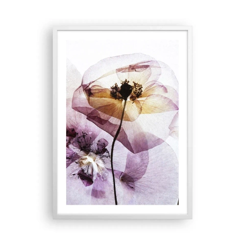 Poster in einem weißen Rahmen - Transparente Körperblumen - 50x70 cm