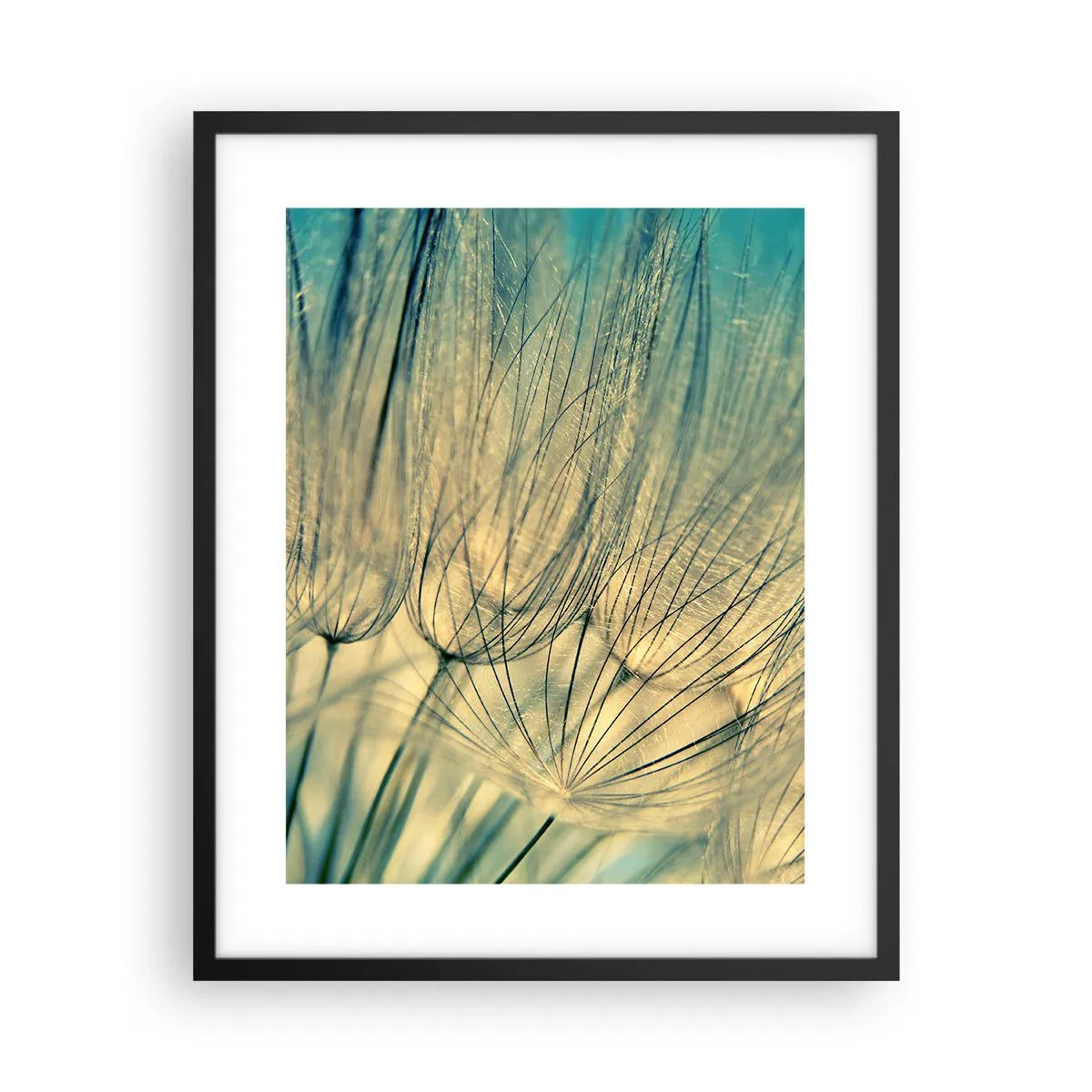 Poster in einem schwarzem Rahmen - In Erwartung des Windes - 40x50 cm