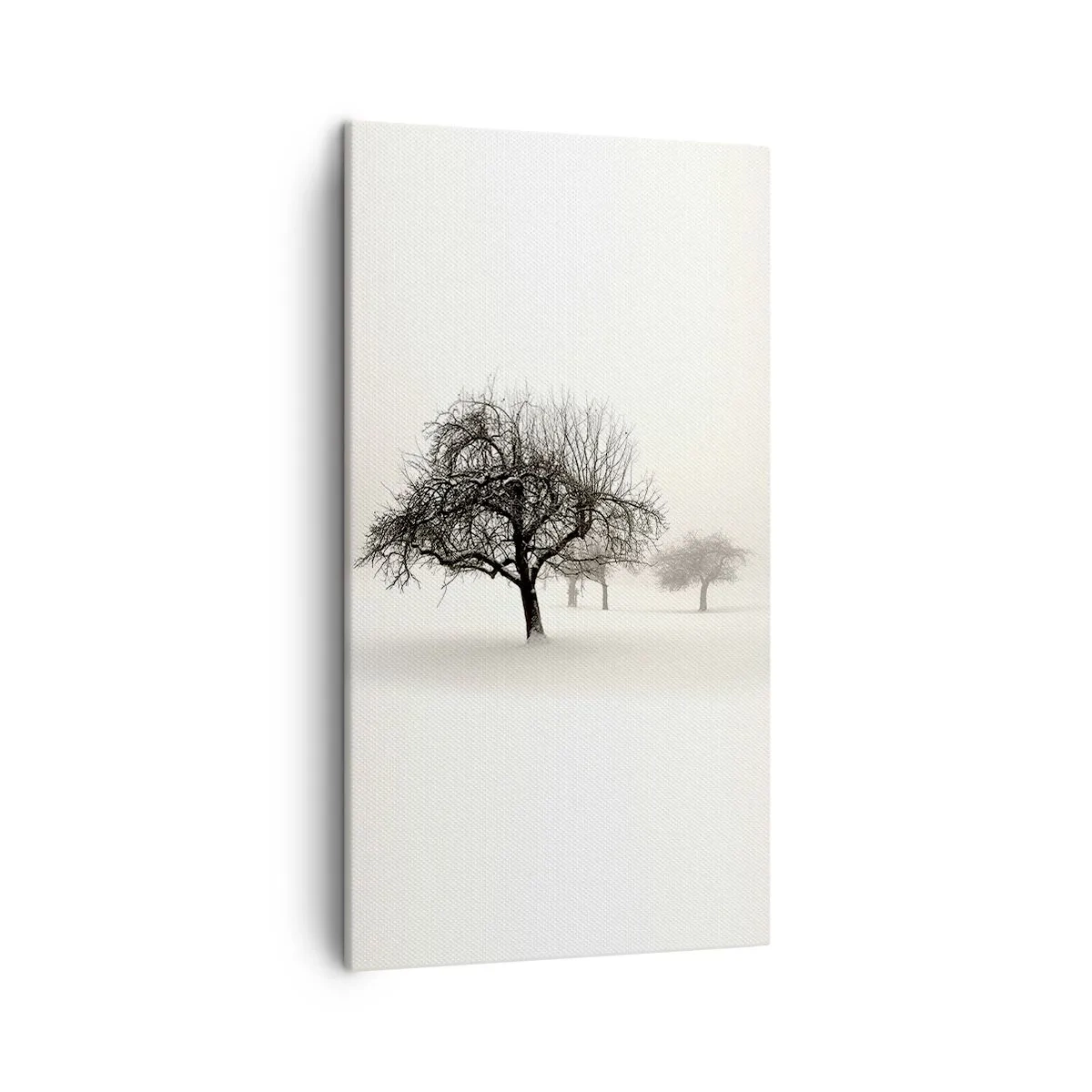 Bild auf Leinwand - Leinwandbild - Winterschlaf - 45x80 cm